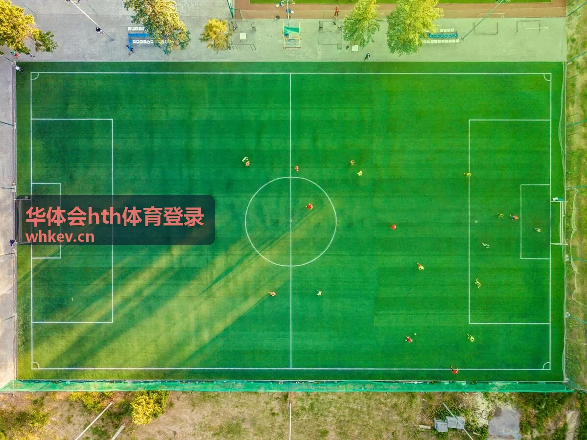 华体会hth体育登录专属赛事深度分析内容